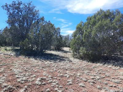 Great tucked away rural off grid property ! - image 4