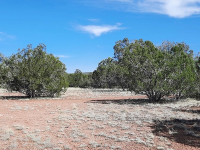 Great tucked away rural off grid property ! - image 9