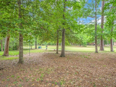 Golf Course Home Holly Lake Ranch Texas - Gated Community - image 28