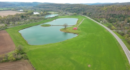Development Land for Sale, Private Lake, Barton NY, Tioga - image 3