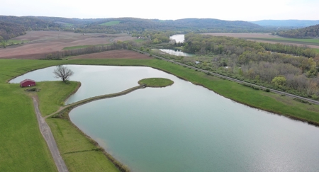 Development Land for Sale, Private Lake, Barton NY, Tioga - image 5