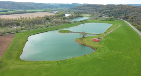 Development Land for Sale, Private Lake, Barton NY, Tioga - image 4