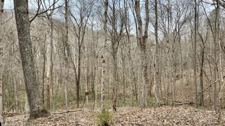 Washington County Ohio Land for Sale - image 28