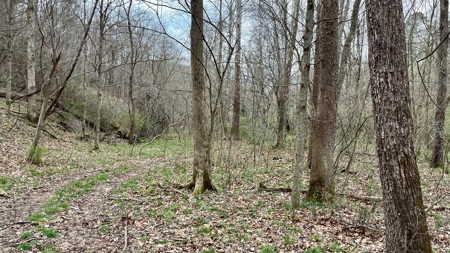 Washington County Ohio Land for Sale - image 24