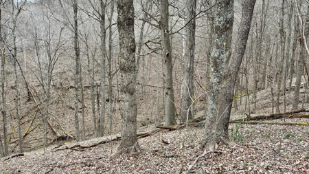 Washington County Ohio Land for Sale - image 29