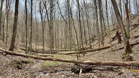 Washington County Ohio Land for Sale - image 16