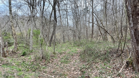 Washington County Ohio Land for Sale - image 25