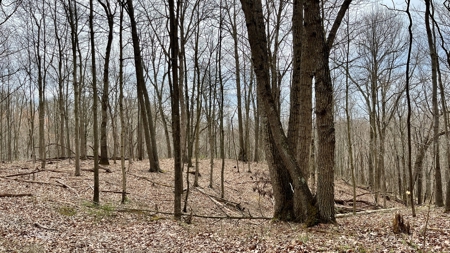 Washington County Ohio Land for Sale - image 11