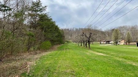 Washington County Ohio Land for Sale - image 7