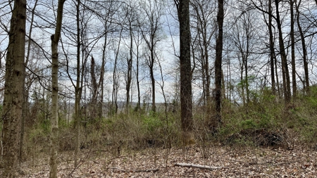 Washington County Ohio Land for Sale - image 30