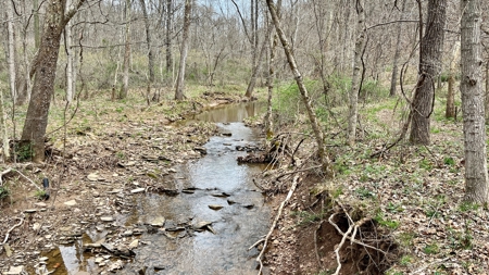 Washington County Ohio Land for Sale - image 19