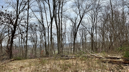 Washington County Ohio Land for Sale - image 31