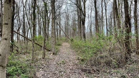 Washington County Ohio Land for Sale - image 9