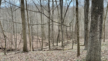 Washington County Ohio Land for Sale - image 14