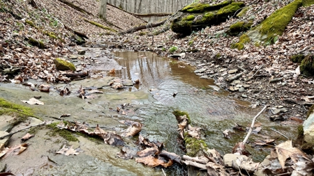 Washington County Ohio Land for Sale - image 15