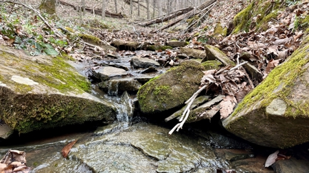 Washington County Ohio Land for Sale - image 1