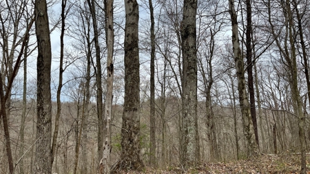Washington County Ohio Land for Sale - image 13