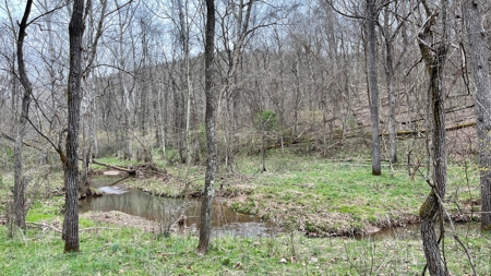 Washington County Ohio Land for Sale - image 27