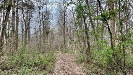 Washington County Ohio Land for Sale - image 10