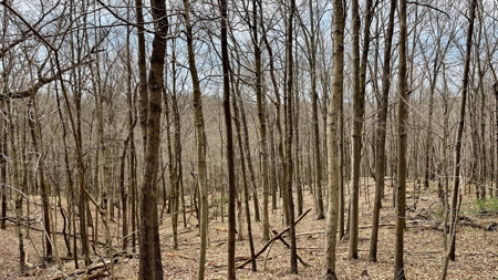 Washington County Ohio Land for Sale - image 12