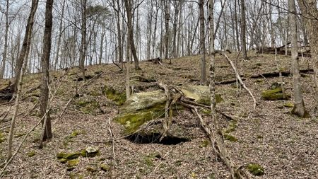 Washington County Ohio Land for Sale - image 17