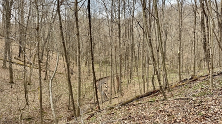 Washington County Ohio Land for Sale - image 18