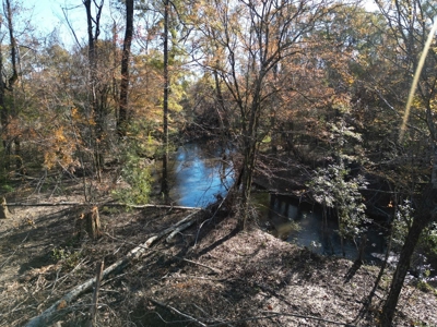 Hunting & Recreational Land for Sale on the Pearl River - image 9