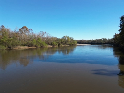 Hunting & Recreational Land for Sale on the Pearl River - image 12