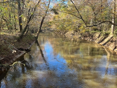 Hunting & Recreational Land for Sale on the Pearl River - image 26