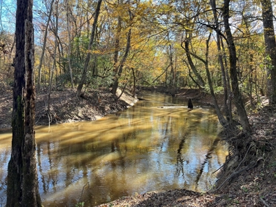Hunting & Recreational Land for Sale on the Pearl River - image 31