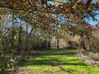 Hunting & Recreational Land for Sale on the Pearl River - image 41