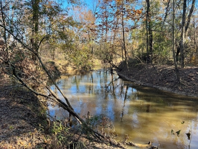 Hunting & Recreational Land for Sale on the Pearl River - image 30