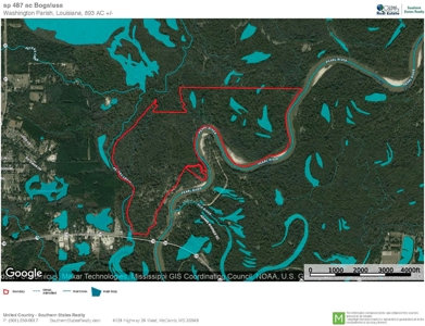 Hunting & Recreational Land for Sale on the Pearl River - image 49