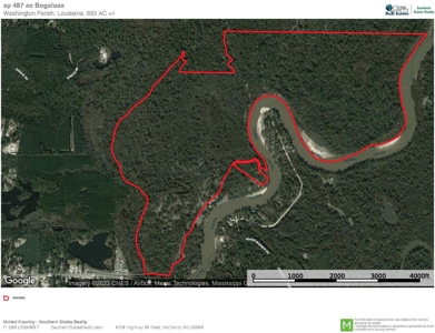 Hunting & Recreational Land for Sale on the Pearl River - image 48