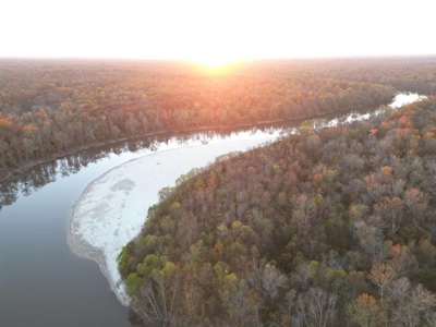 Hunting & Recreational Land for Sale on the Pearl River - image 2
