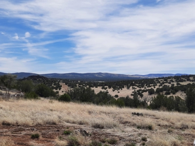 Perfect Northern AZ off grid Hunting Cabin. - image 4