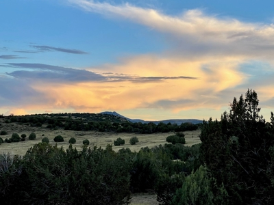 Perfect Northern AZ off grid Hunting Cabin. - image 8