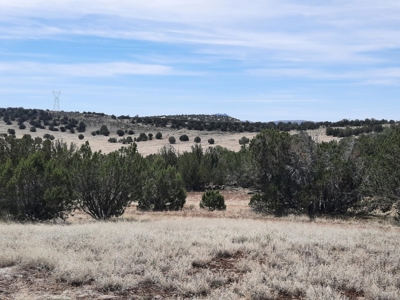 Perfect Northern AZ off grid Hunting Cabin. - image 5