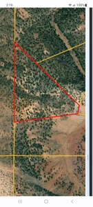Perfect Northern AZ off grid Hunting Cabin. - image 23