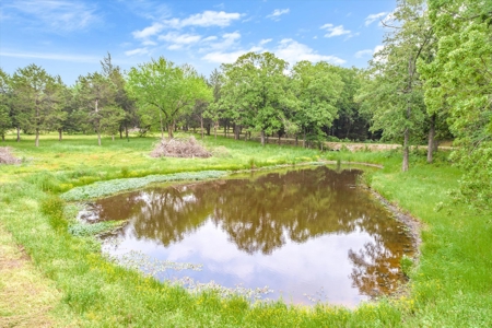 Country Home for Sale in Canton, Texas - image 7