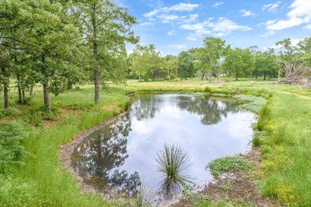Country Home for Sale in Canton, Texas - image 8