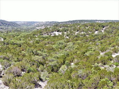 Hunting Ranch in Edwards Co Texas - image 20