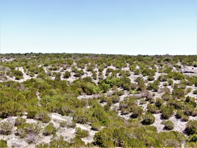 Hunting Ranch in Edwards Co Texas - image 25