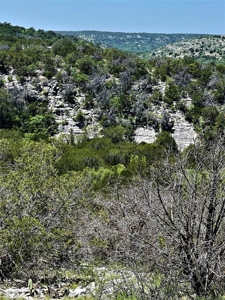 Hunting Ranch in Edwards Co Texas - image 2