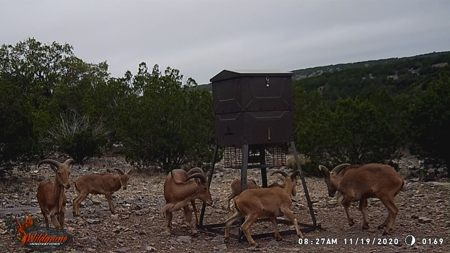 Hunting Ranch in Edwards Co Texas - image 33