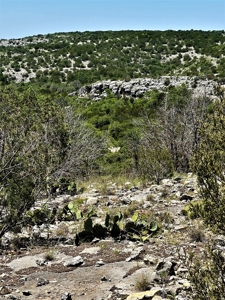 Hunting Ranch in Edwards Co Texas - image 10