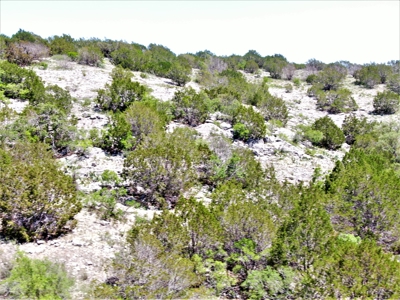 Hunting Ranch in Edwards Co Texas - image 1