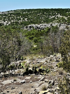 Hunting Ranch in Edwards Co Texas - image 9