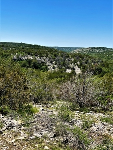 Hunting Ranch in Edwards Co Texas - image 12