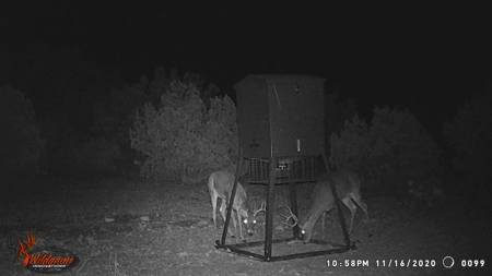 Hunting Ranch in Edwards Co Texas - image 34